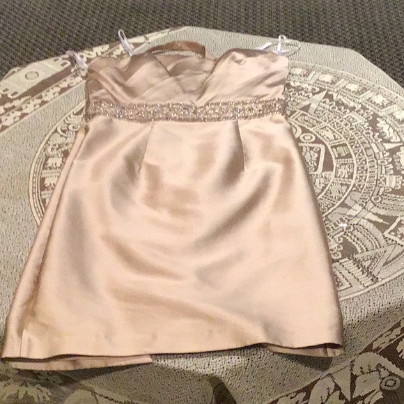 ⭐️⭐️HOST PICK⭐️⭐️⬇️Price Drop⬇️NWOT Strapless tan/gold evening sheath dress - Picture 3 of 4
